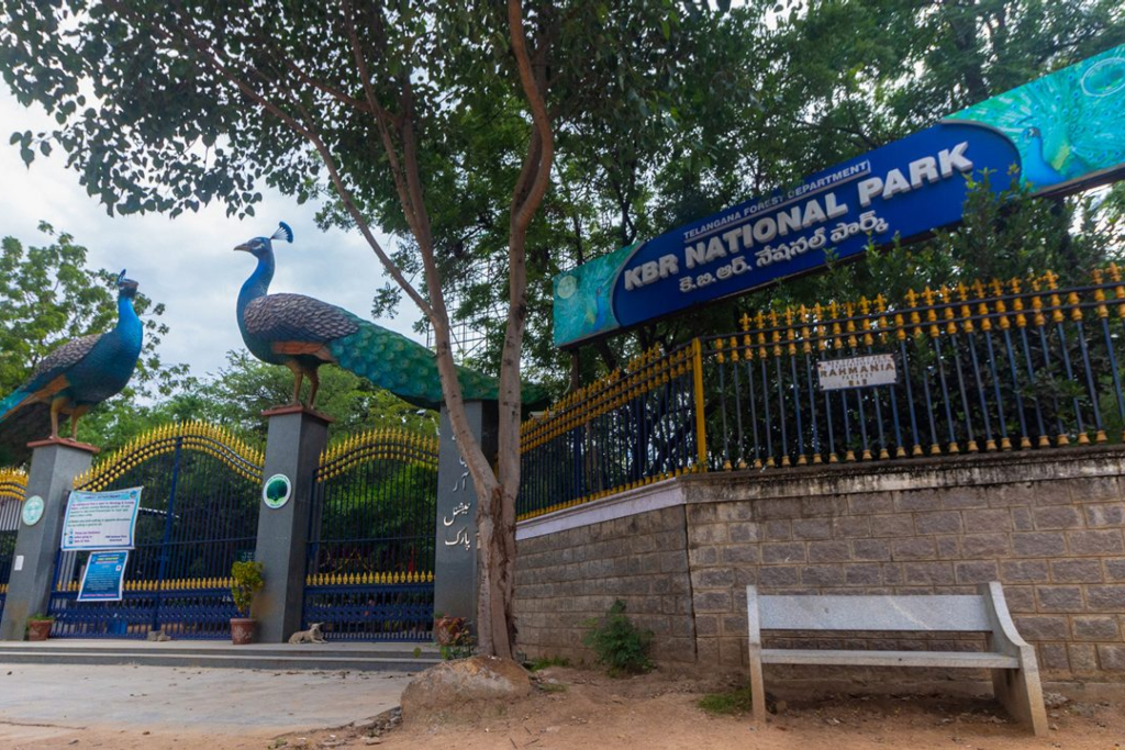Best custom web design services in Hyderabad near Kasu Brahmananda Reddy National Park, Banjara Hills — Moosi Web Hyderabad