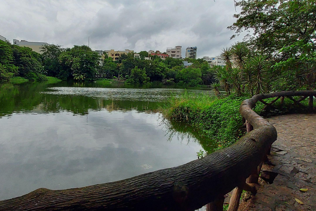 Featured image: Why ERP software solutions in Hyderabad still matters near Lotus Pond, Jubilee Hills | Moosi Web