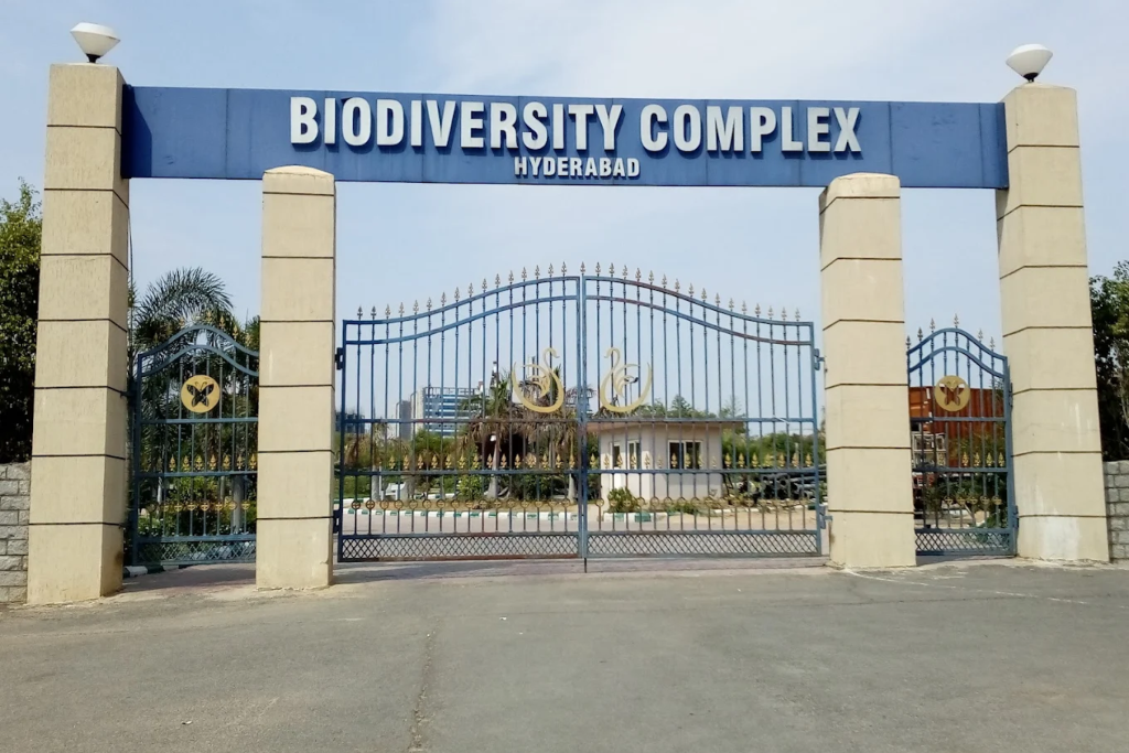 Featured image: Who can help with Web designing company in Hyderabad near Hyderabad Biodiversity Park, Gachibowli | Moosi Web