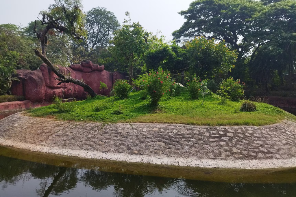 Featured image: Why Best website designers in Hyderabad still matters near Kompally Park | Moosi Web
