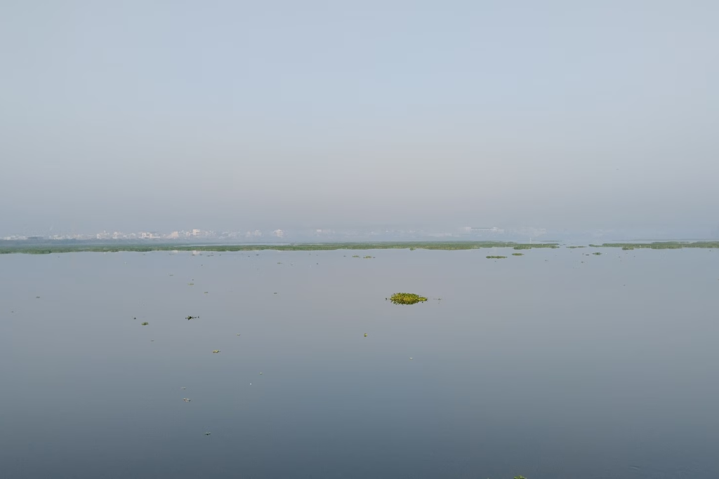 Featured image: Professional SEO services for businesses in Hyderabad near Suchitra Lake: what buyers ask first | Moosi Web