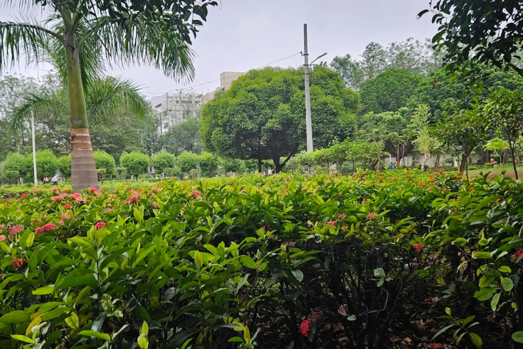 Featured image: Which partner fits Website design in Hyderabad near Sainikpuri Park | Moosi Web